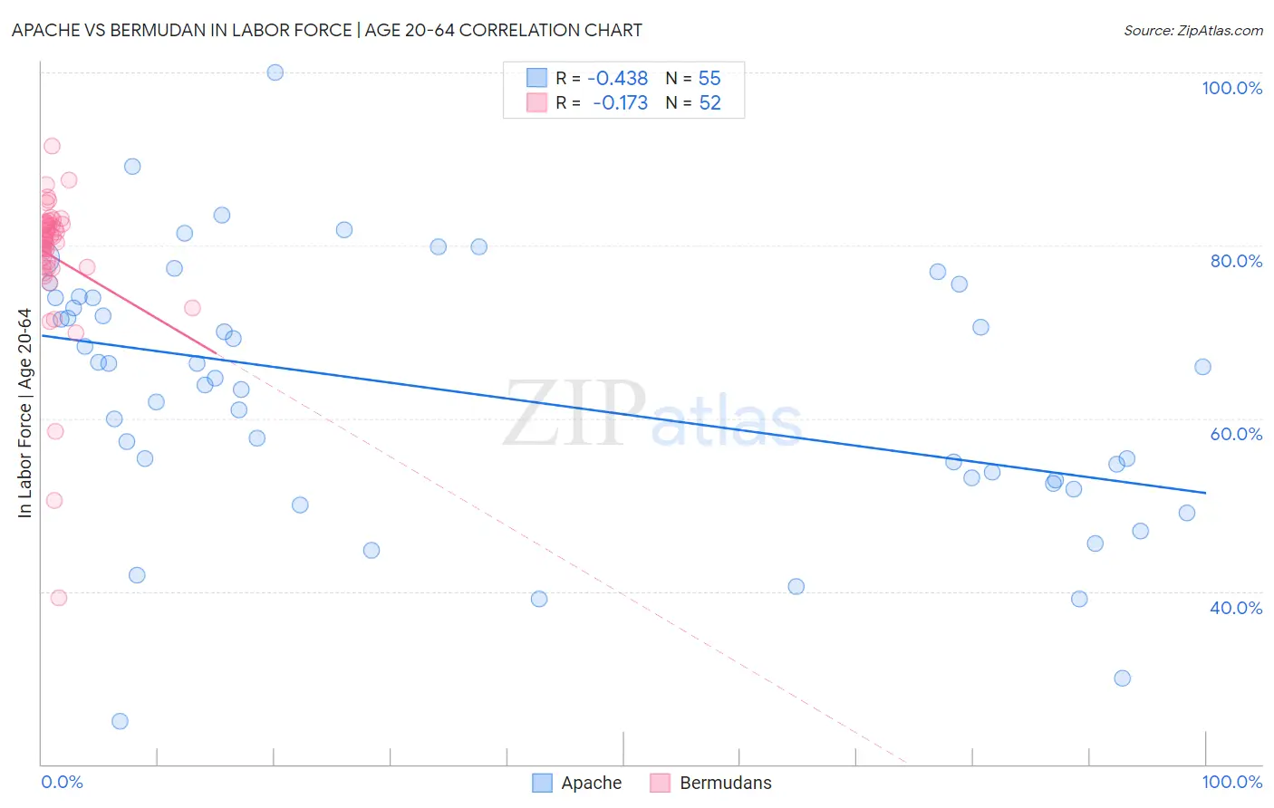 Apache vs Bermudan In Labor Force | Age 20-64