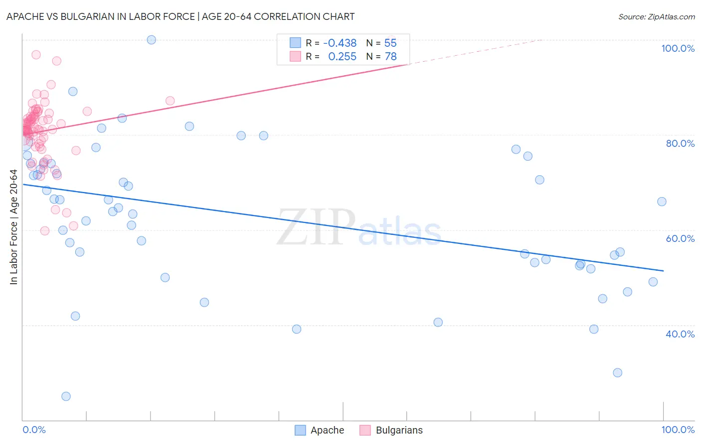Apache vs Bulgarian In Labor Force | Age 20-64