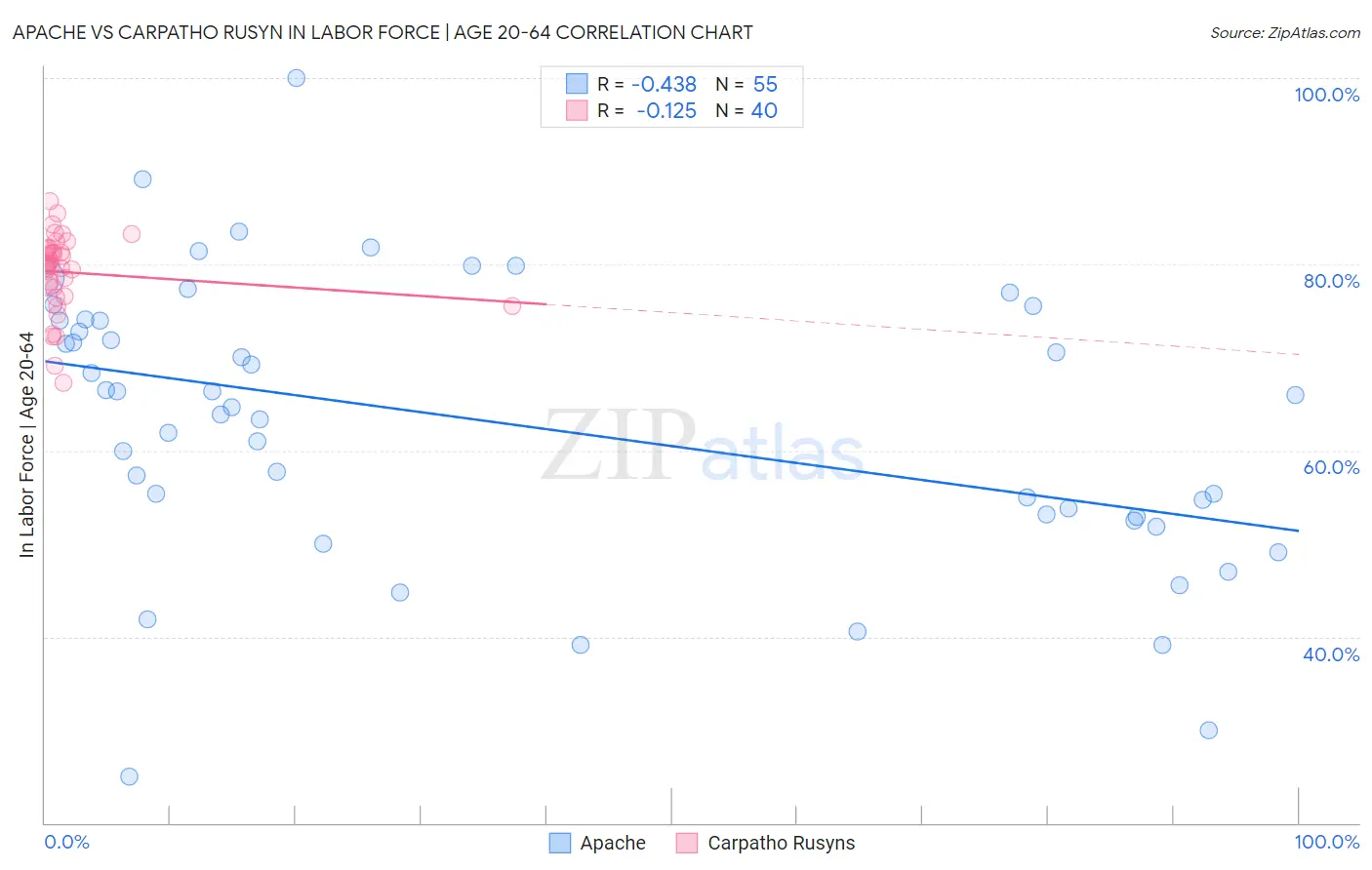 Apache vs Carpatho Rusyn In Labor Force | Age 20-64