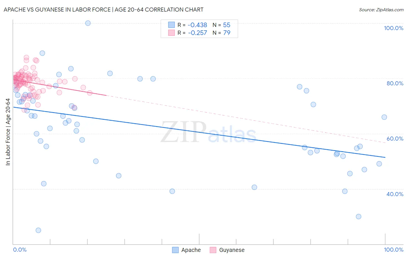 Apache vs Guyanese In Labor Force | Age 20-64