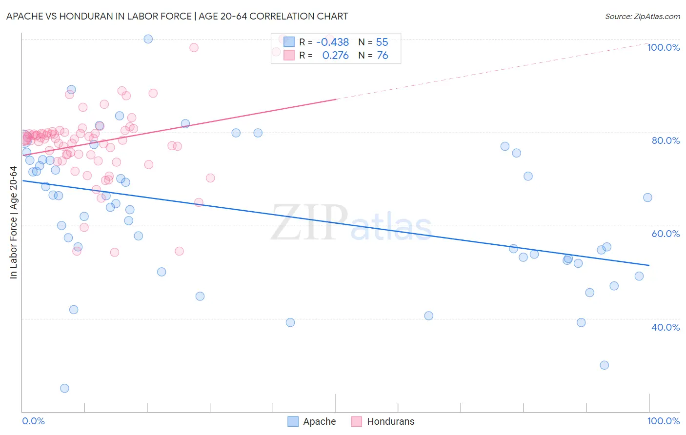 Apache vs Honduran In Labor Force | Age 20-64