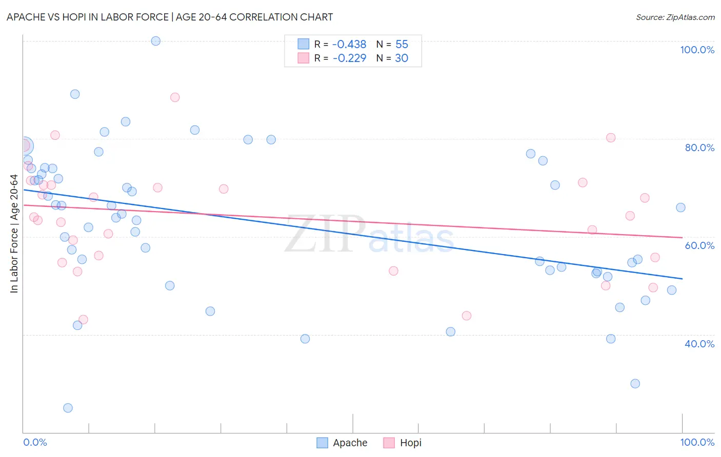 Apache vs Hopi In Labor Force | Age 20-64
