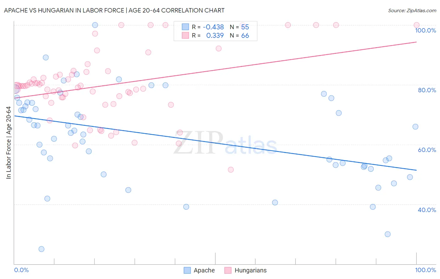 Apache vs Hungarian In Labor Force | Age 20-64