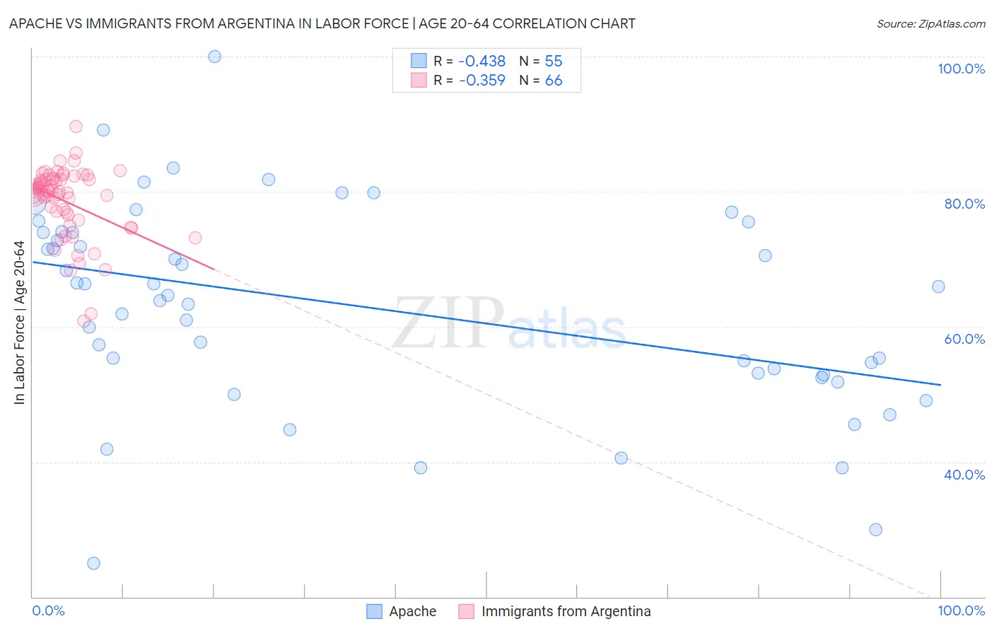 Apache vs Immigrants from Argentina In Labor Force | Age 20-64