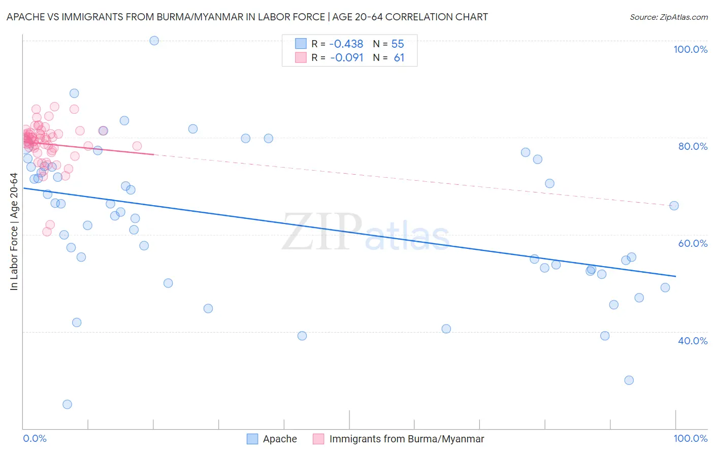 Apache vs Immigrants from Burma/Myanmar In Labor Force | Age 20-64