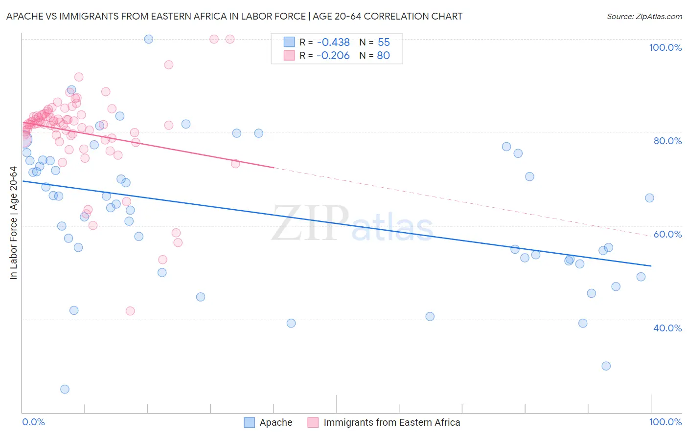 Apache vs Immigrants from Eastern Africa In Labor Force | Age 20-64