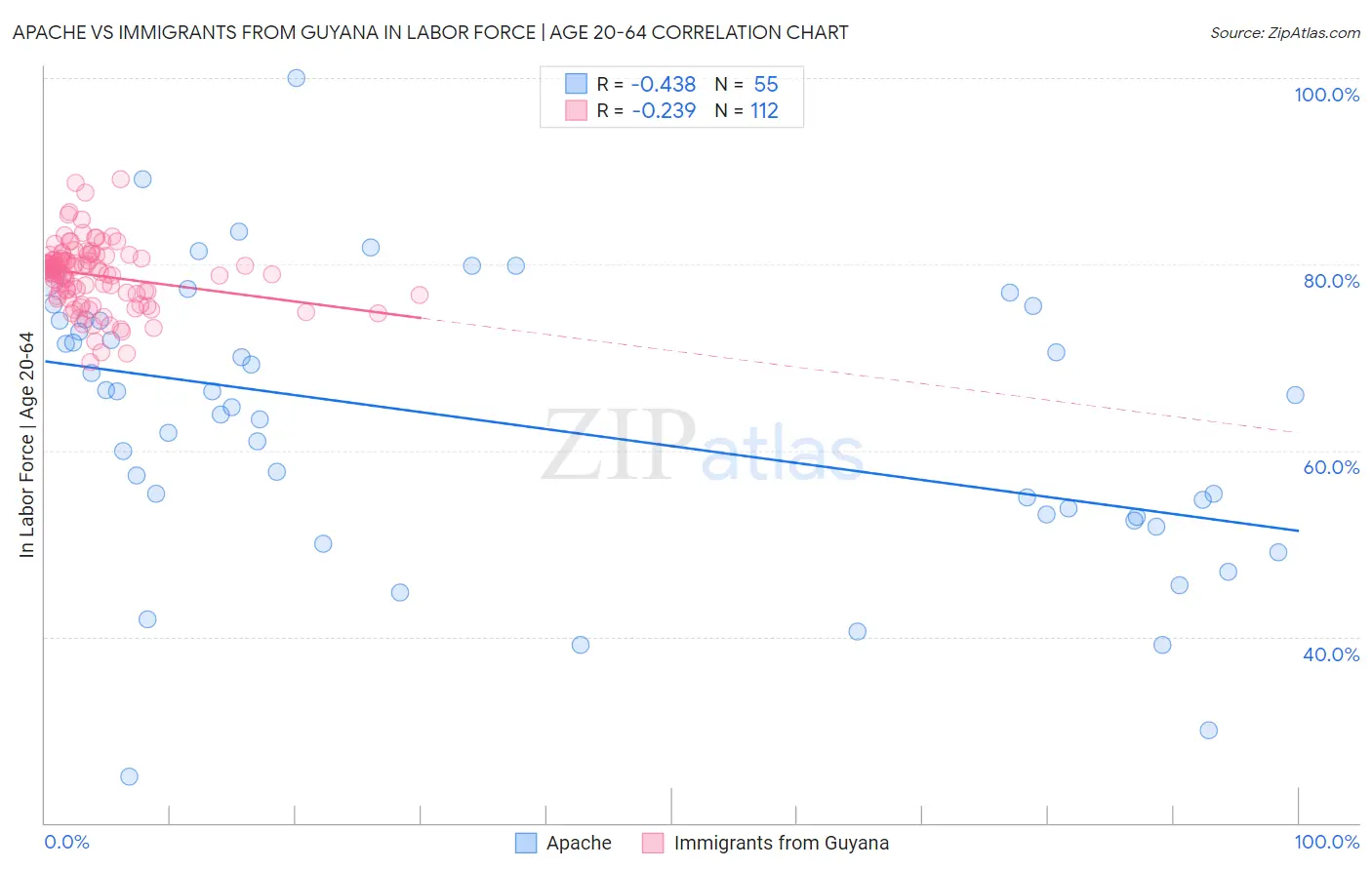 Apache vs Immigrants from Guyana In Labor Force | Age 20-64