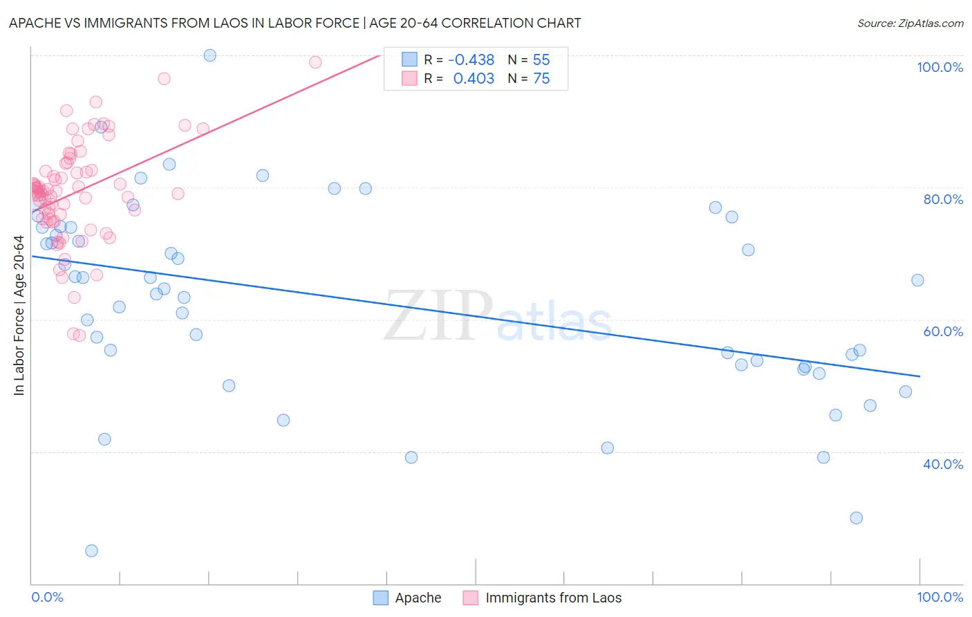 Apache vs Immigrants from Laos In Labor Force | Age 20-64