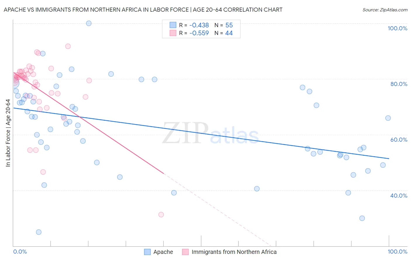 Apache vs Immigrants from Northern Africa In Labor Force | Age 20-64