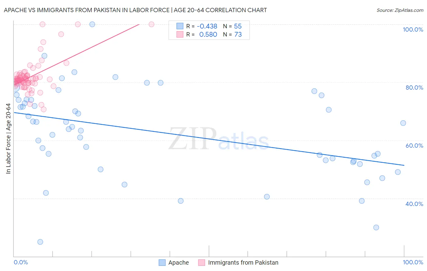 Apache vs Immigrants from Pakistan In Labor Force | Age 20-64