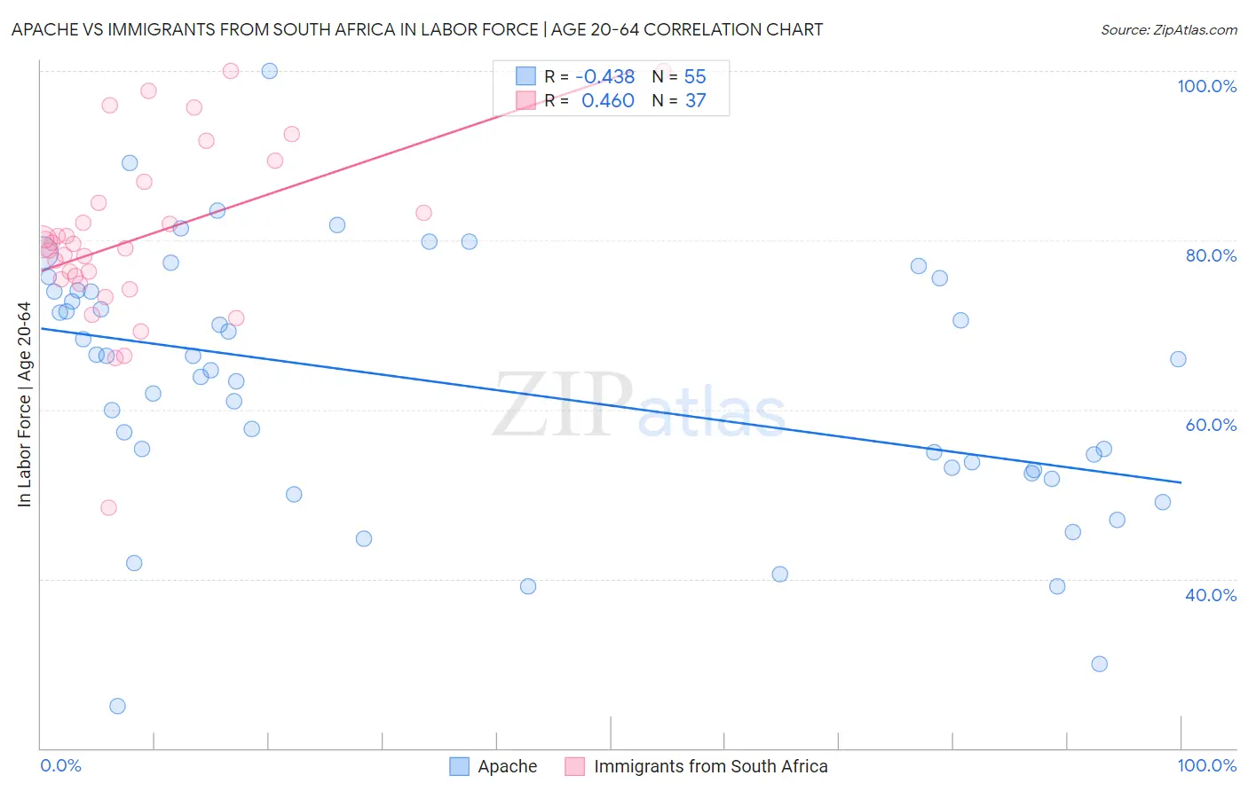 Apache vs Immigrants from South Africa In Labor Force | Age 20-64