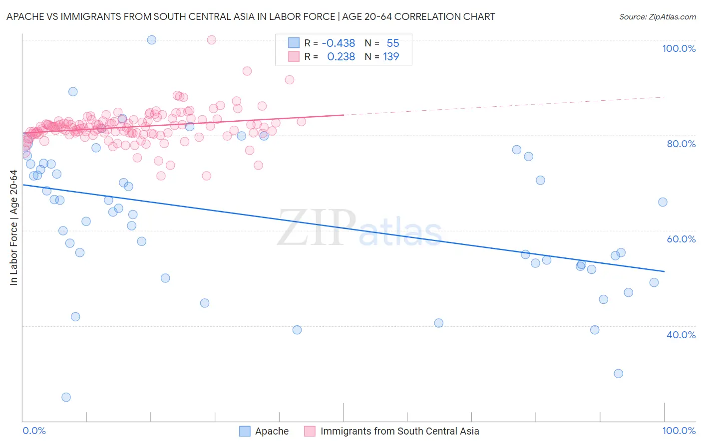 Apache vs Immigrants from South Central Asia In Labor Force | Age 20-64
