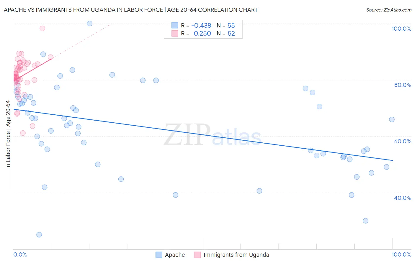 Apache vs Immigrants from Uganda In Labor Force | Age 20-64