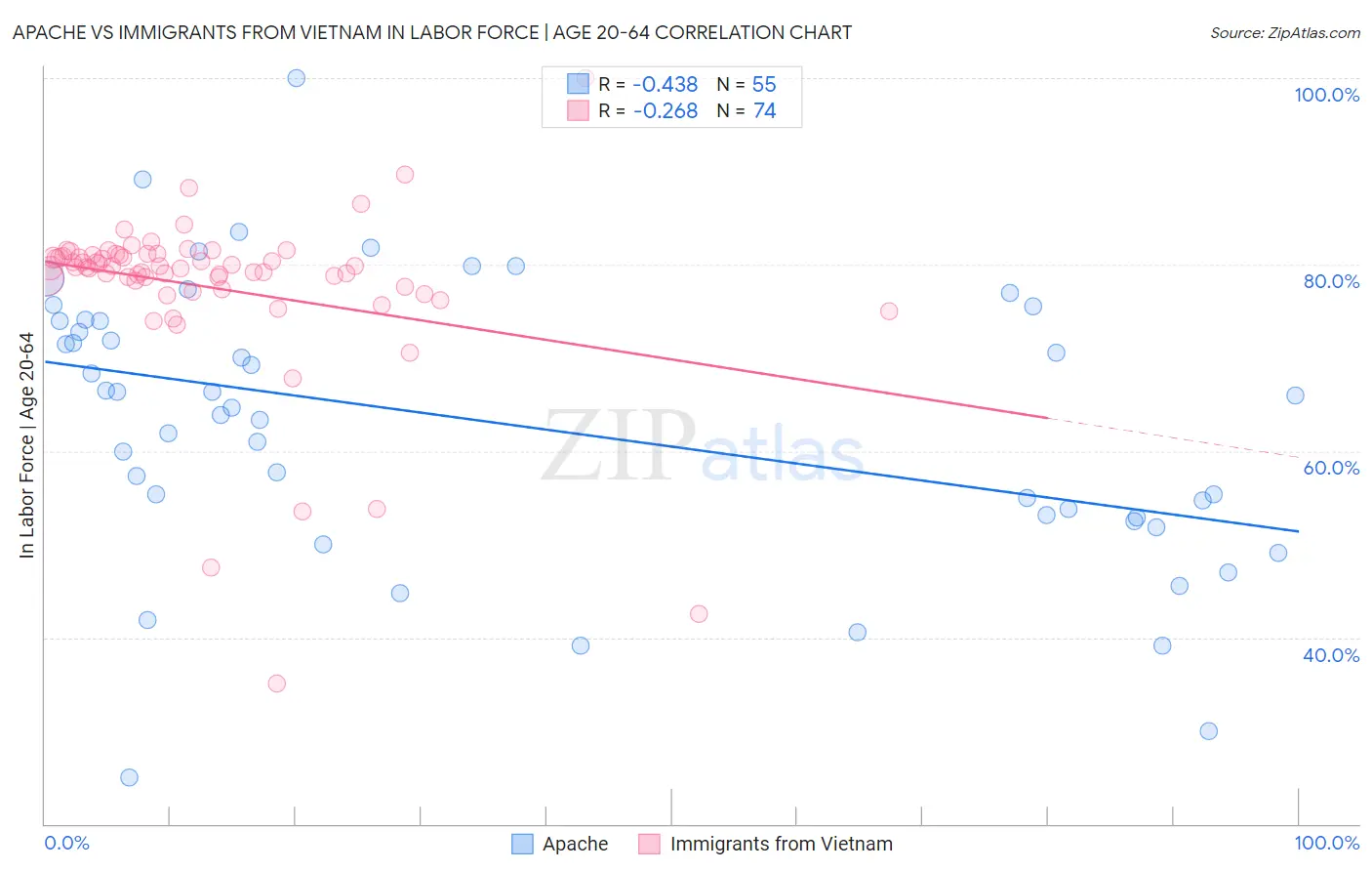 Apache vs Immigrants from Vietnam In Labor Force | Age 20-64