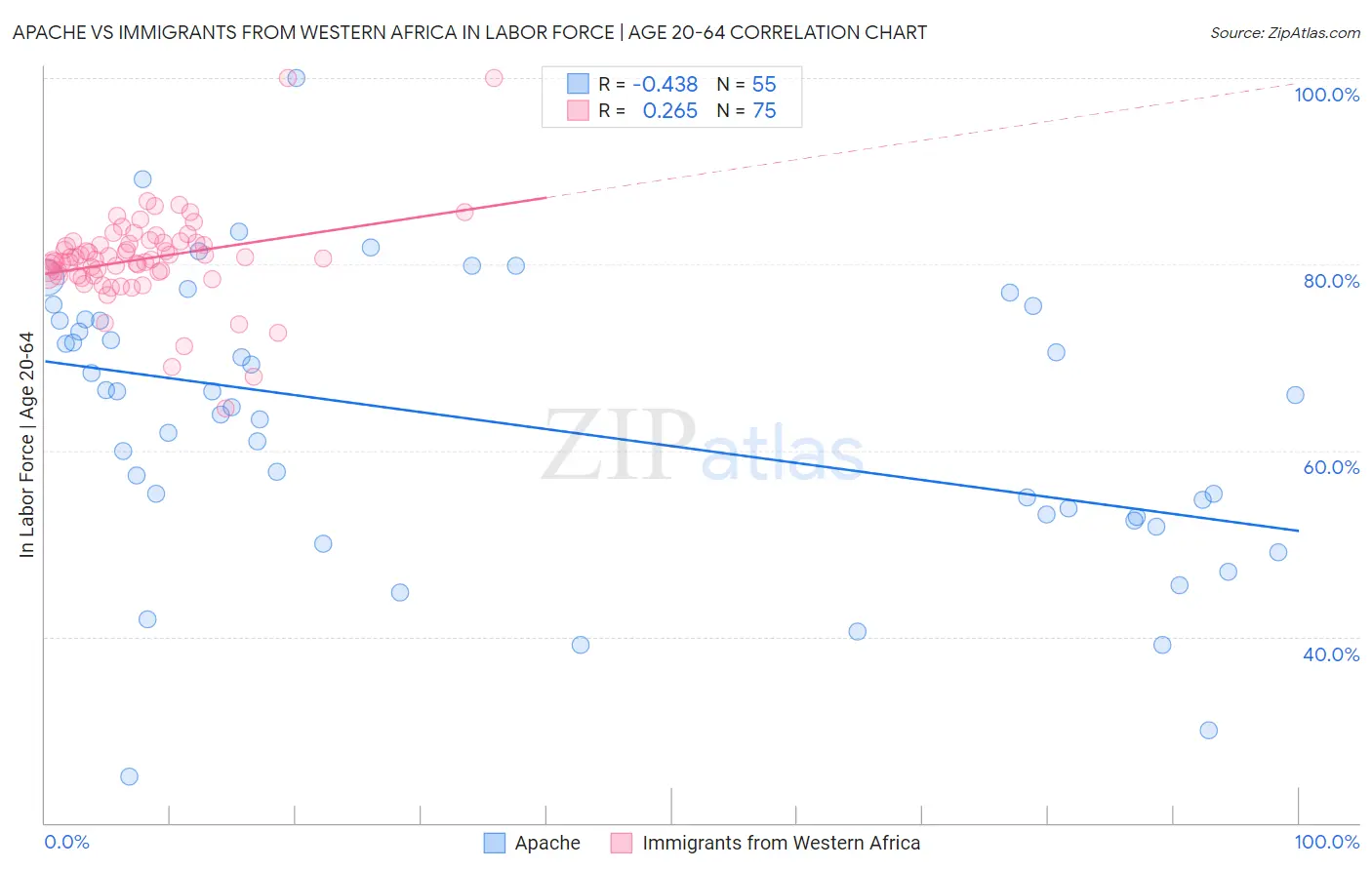 Apache vs Immigrants from Western Africa In Labor Force | Age 20-64