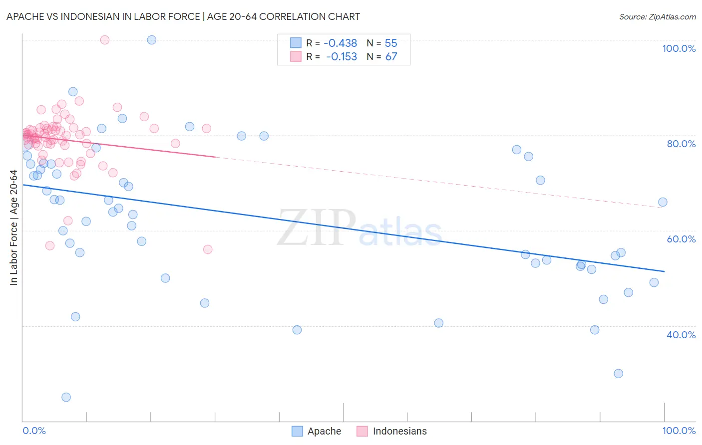 Apache vs Indonesian In Labor Force | Age 20-64