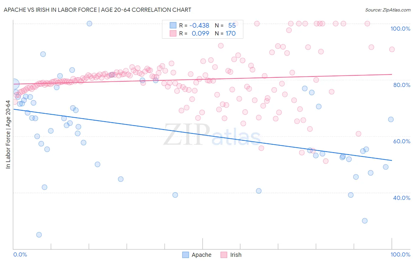 Apache vs Irish In Labor Force | Age 20-64