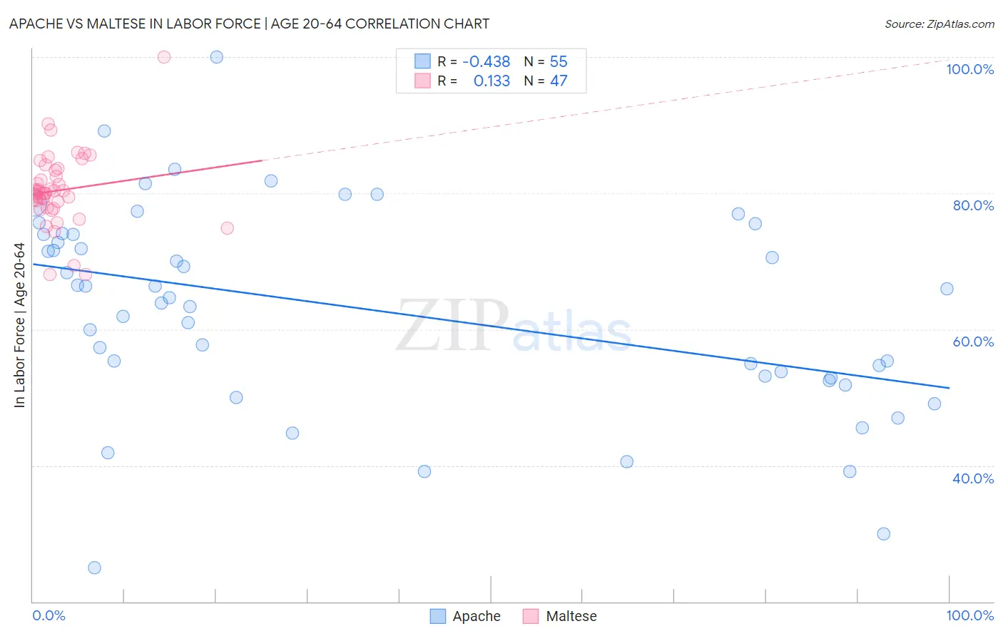 Apache vs Maltese In Labor Force | Age 20-64