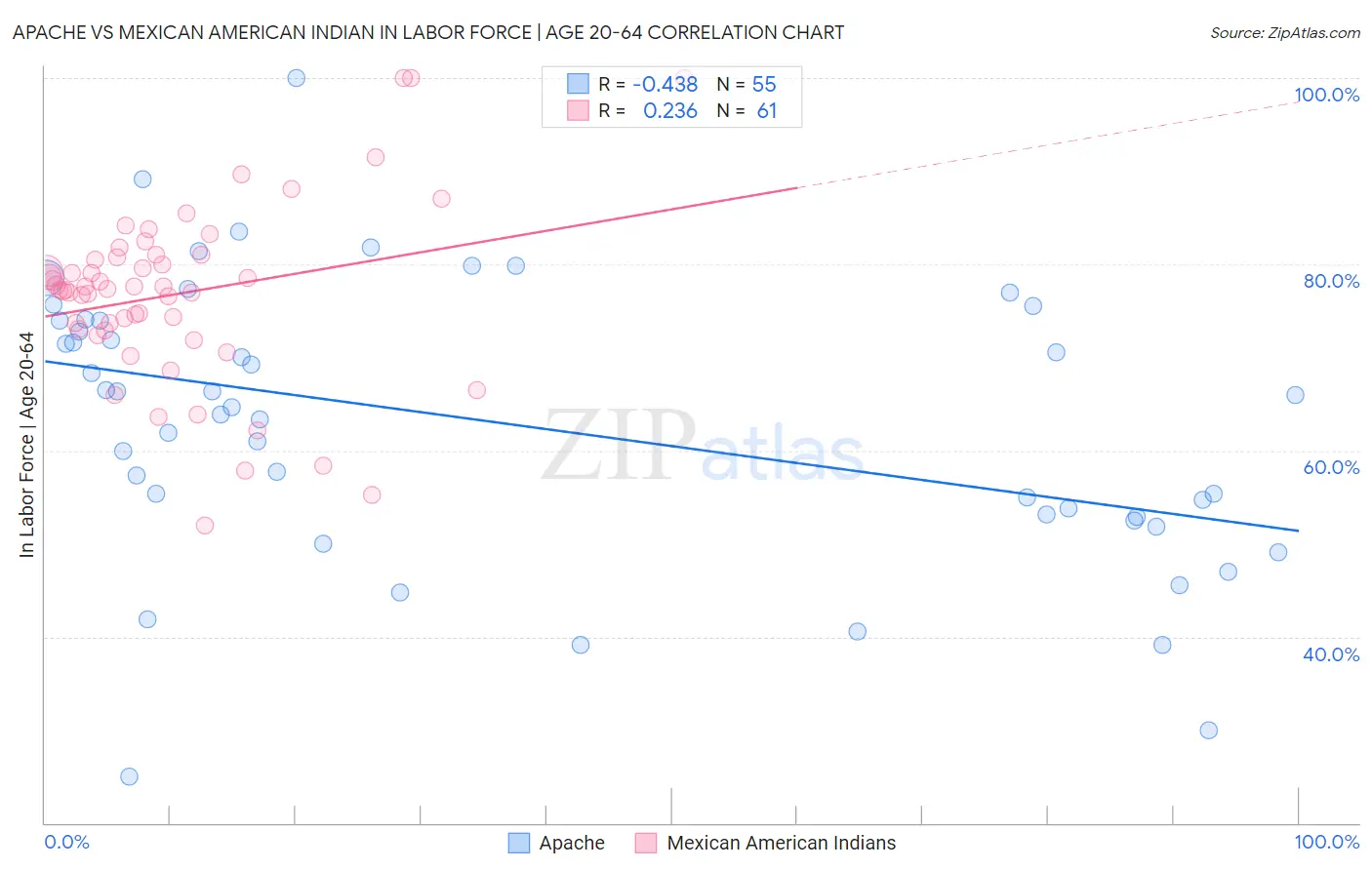 Apache vs Mexican American Indian In Labor Force | Age 20-64