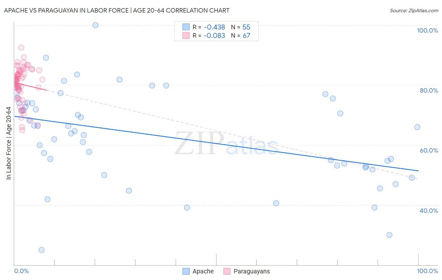 Apache vs Paraguayan In Labor Force | Age 20-64
