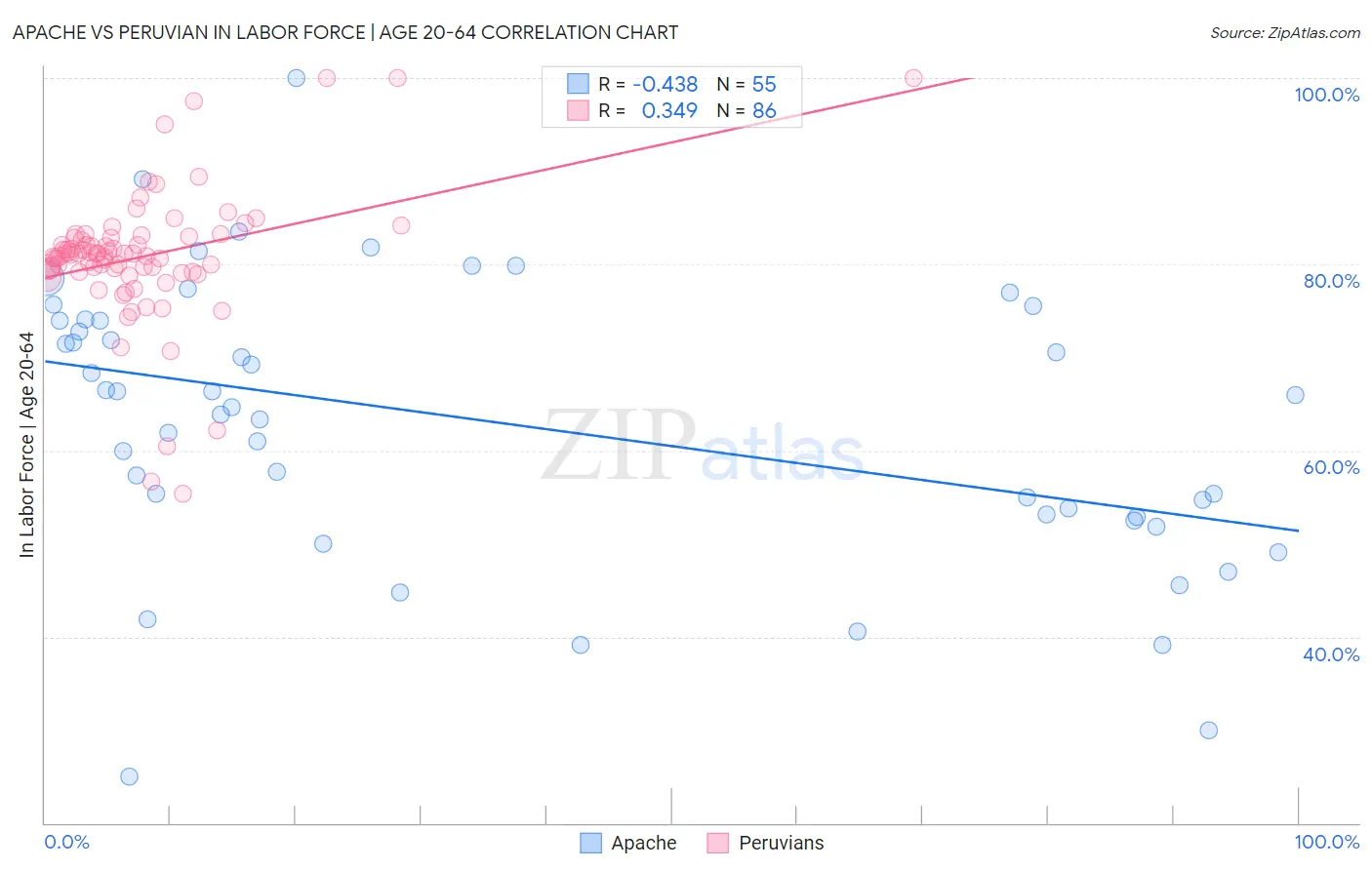 Apache vs Peruvian In Labor Force | Age 20-64