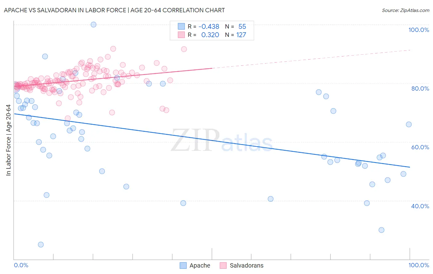 Apache vs Salvadoran In Labor Force | Age 20-64