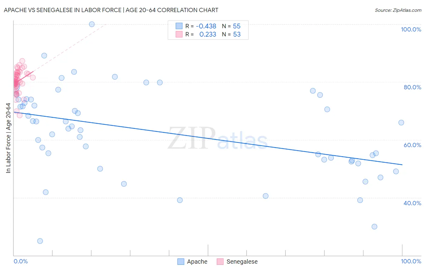 Apache vs Senegalese In Labor Force | Age 20-64