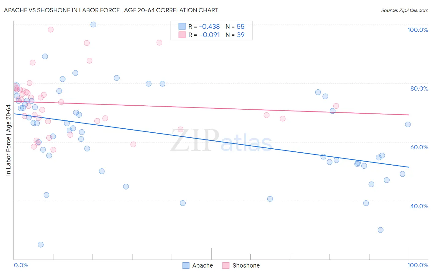 Apache vs Shoshone In Labor Force | Age 20-64