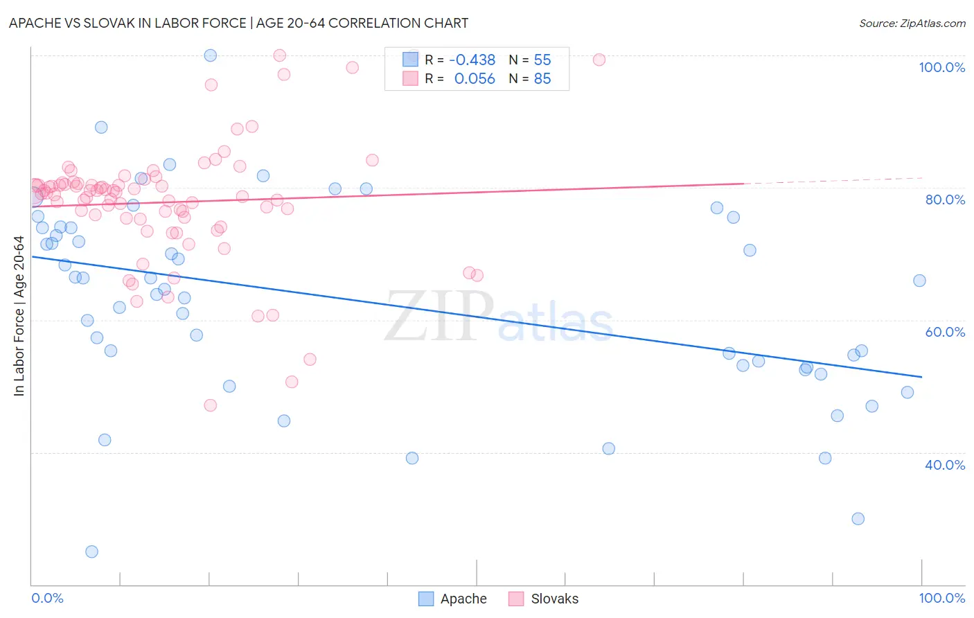 Apache vs Slovak In Labor Force | Age 20-64