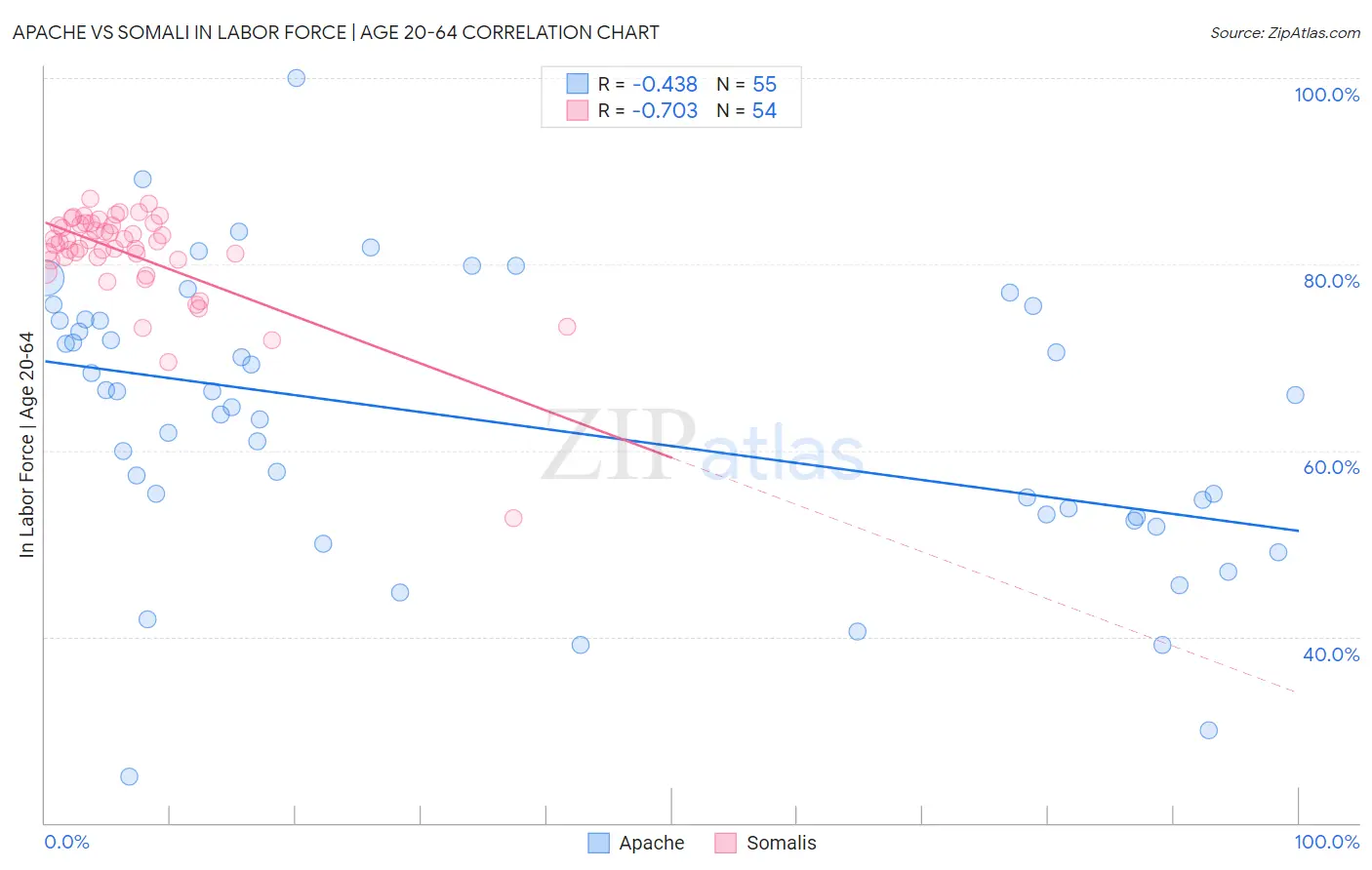 Apache vs Somali In Labor Force | Age 20-64