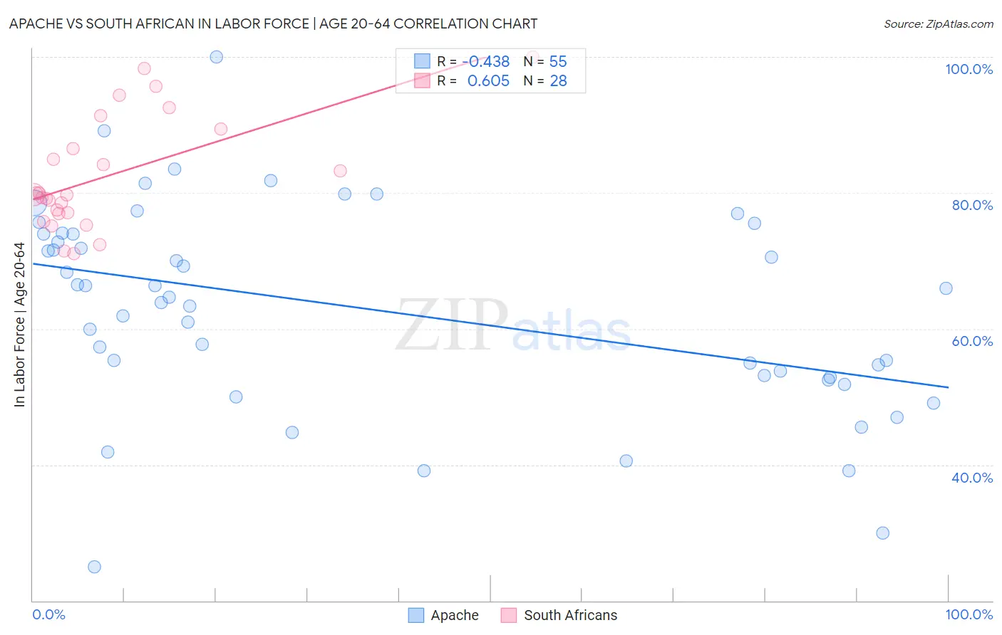 Apache vs South African In Labor Force | Age 20-64