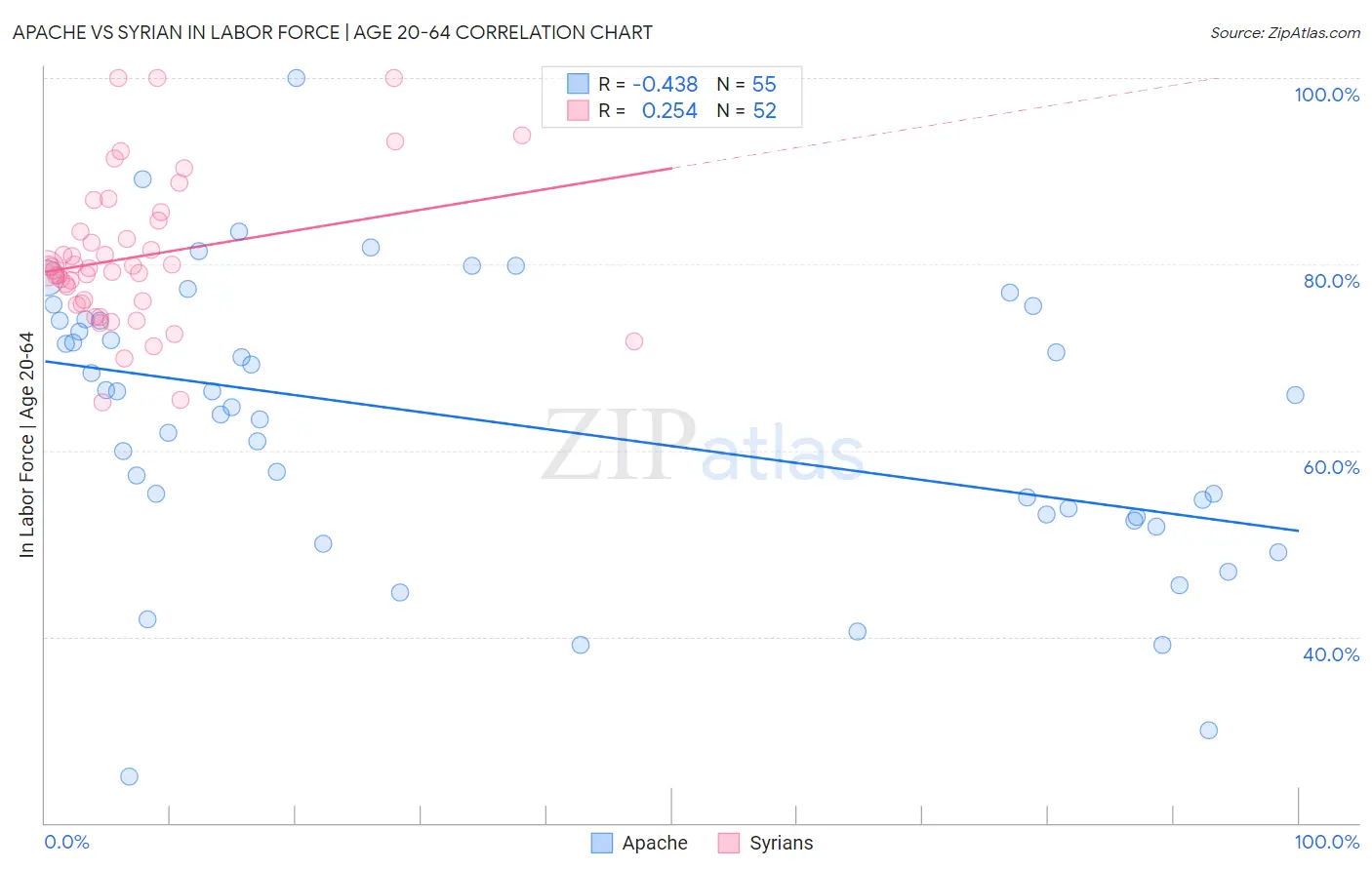 Apache vs Syrian In Labor Force | Age 20-64