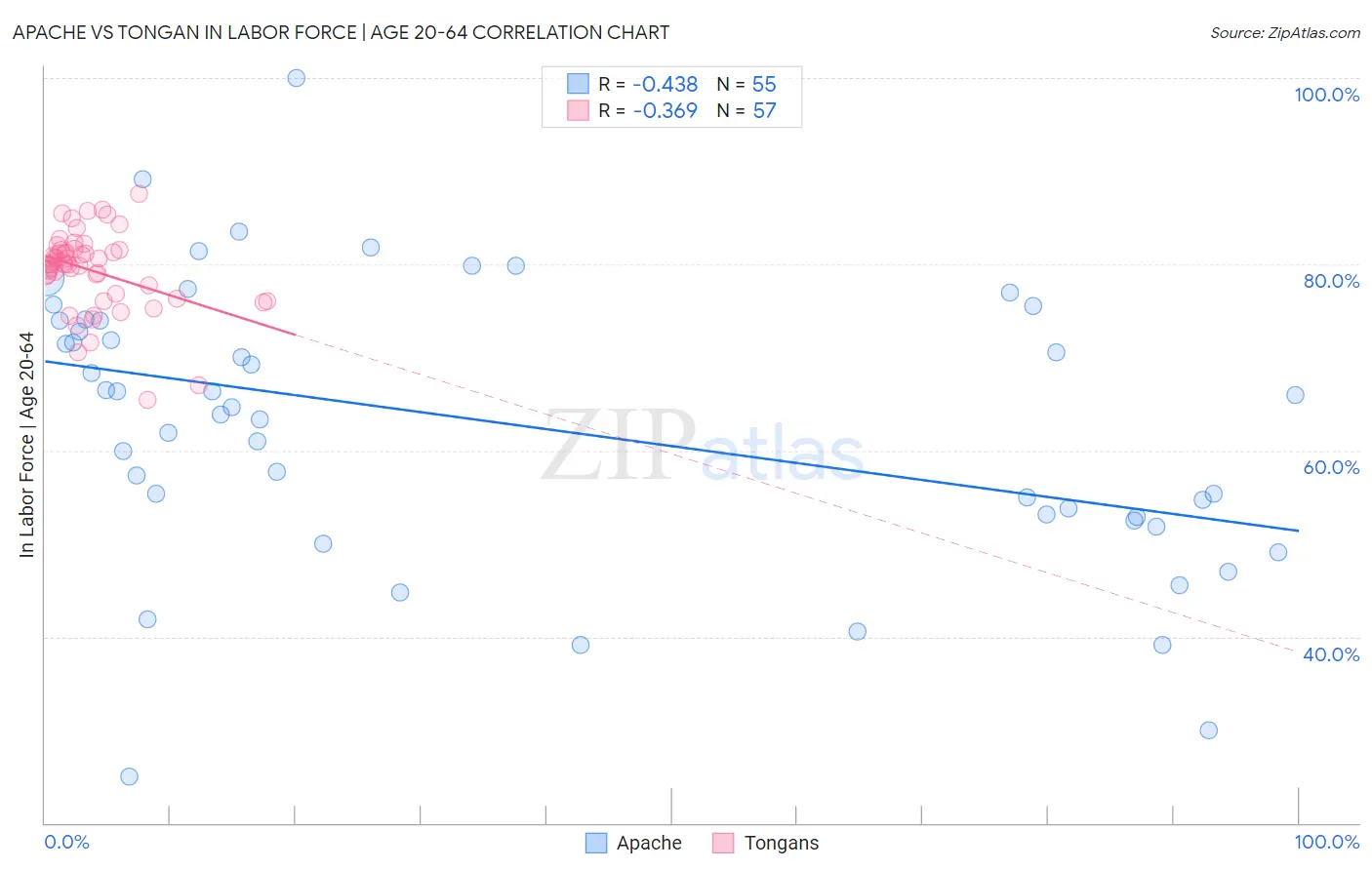 Apache vs Tongan In Labor Force | Age 20-64