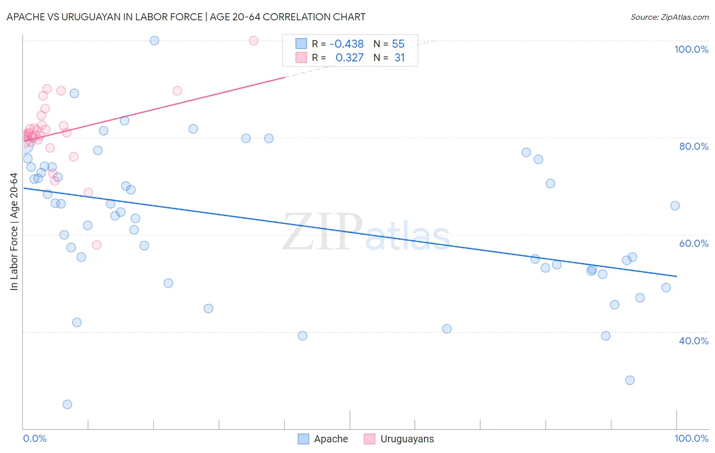 Apache vs Uruguayan In Labor Force | Age 20-64