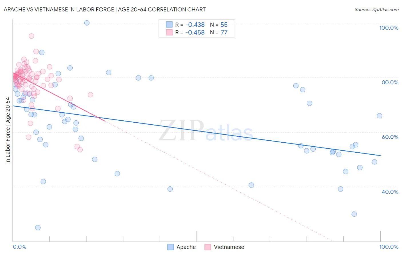 Apache vs Vietnamese In Labor Force | Age 20-64