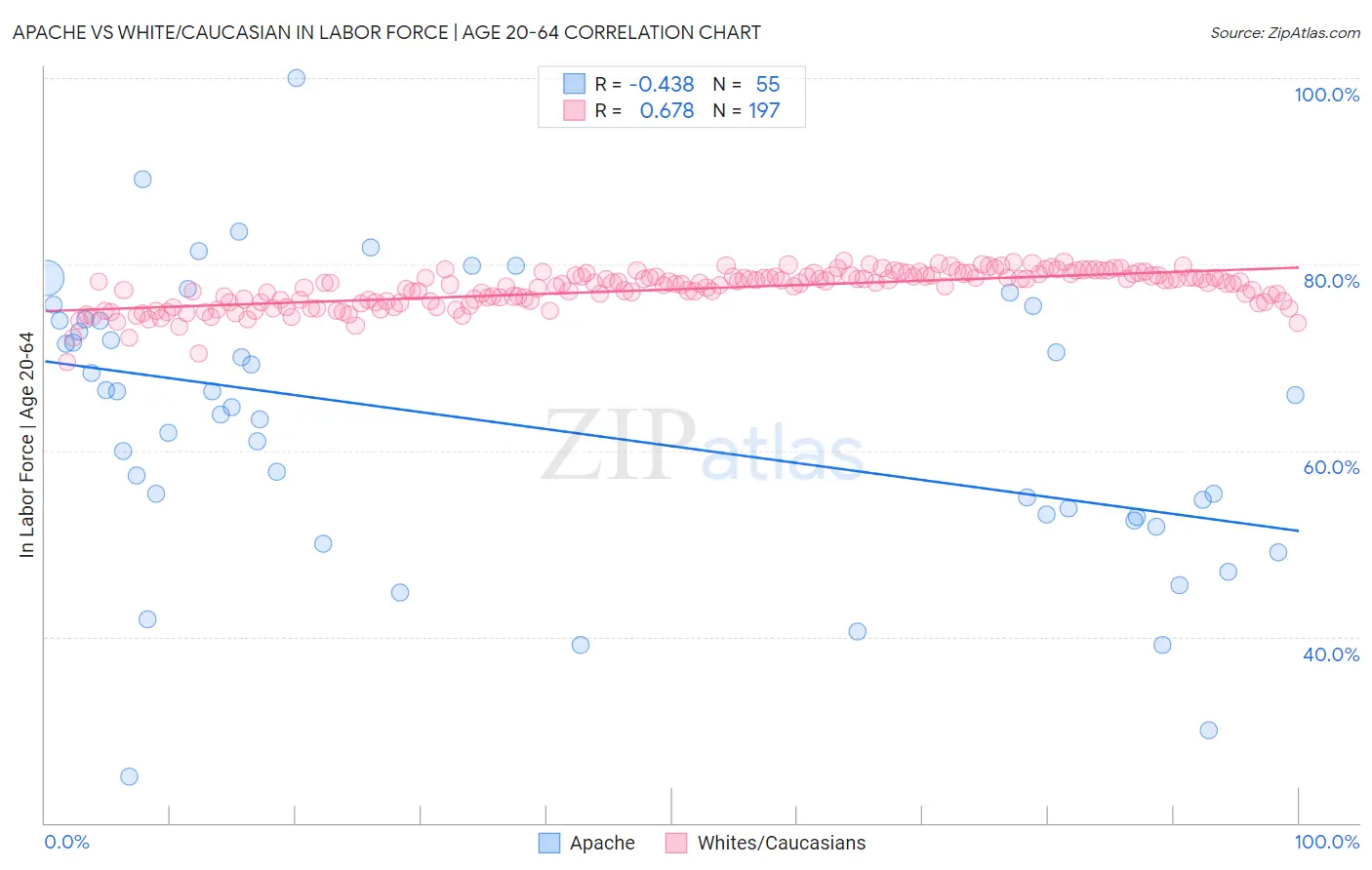 Apache vs White/Caucasian In Labor Force | Age 20-64