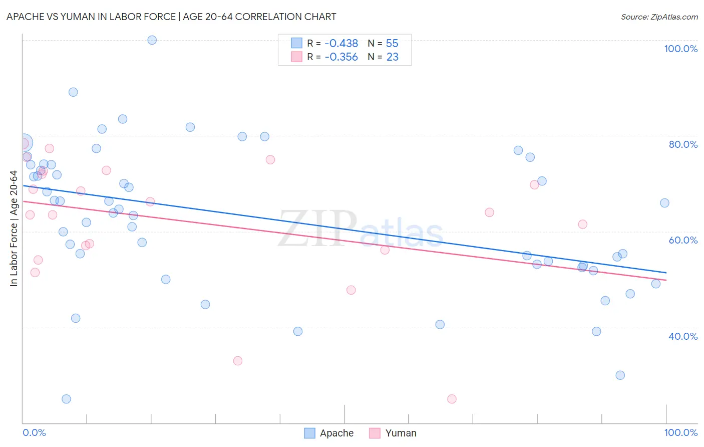 Apache vs Yuman In Labor Force | Age 20-64