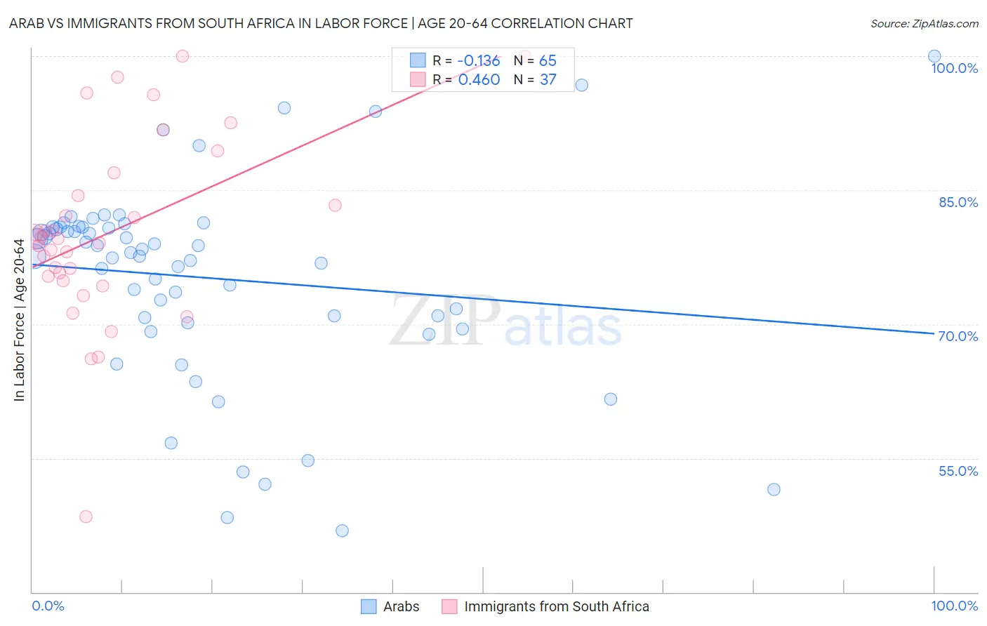 Arab vs Immigrants from South Africa In Labor Force | Age 20-64