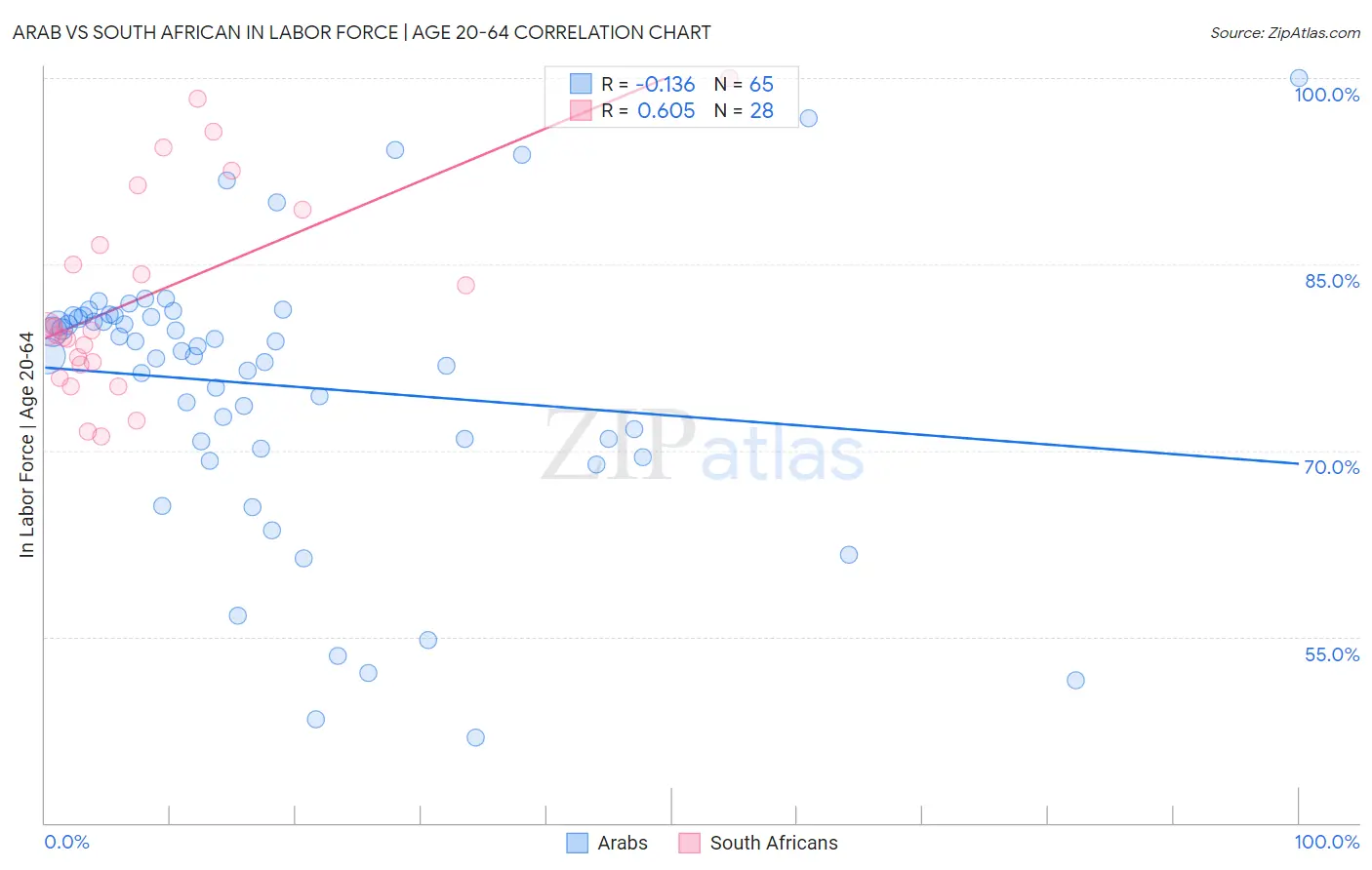 Arab vs South African In Labor Force | Age 20-64