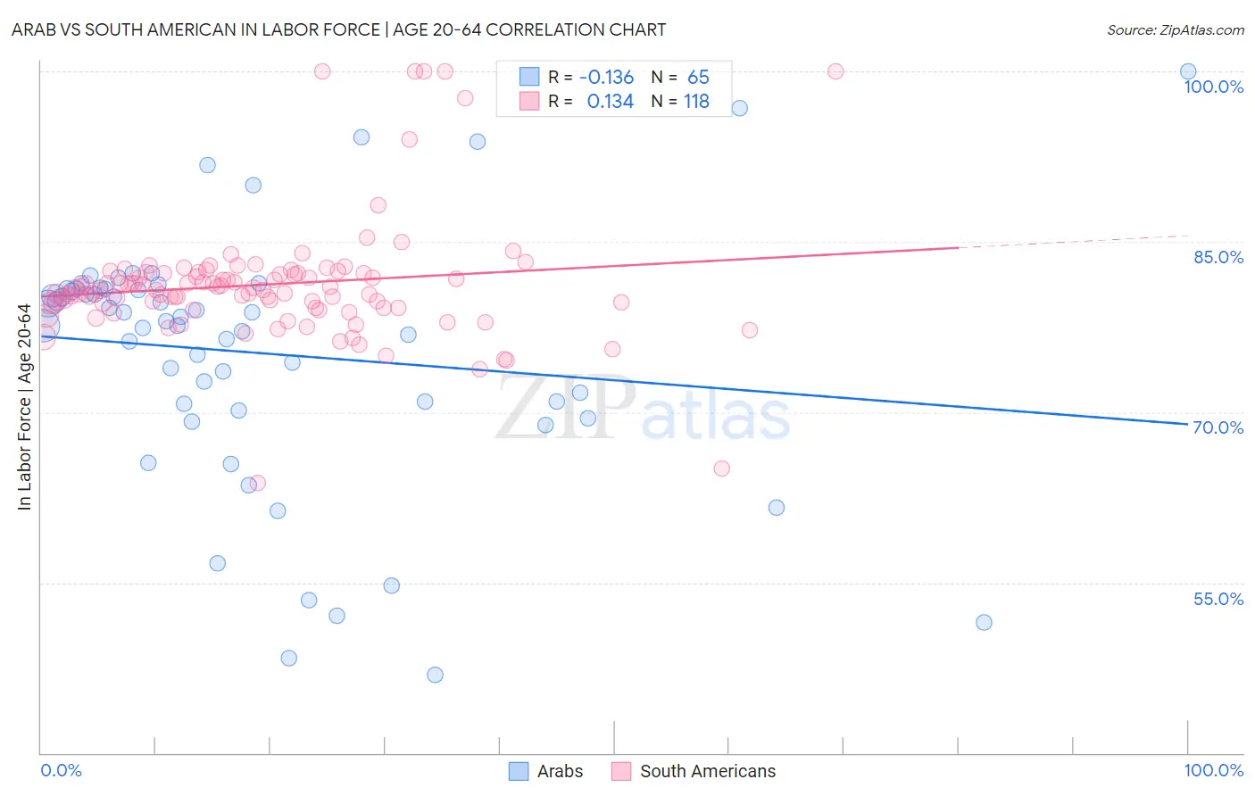 Arab vs South American In Labor Force | Age 20-64