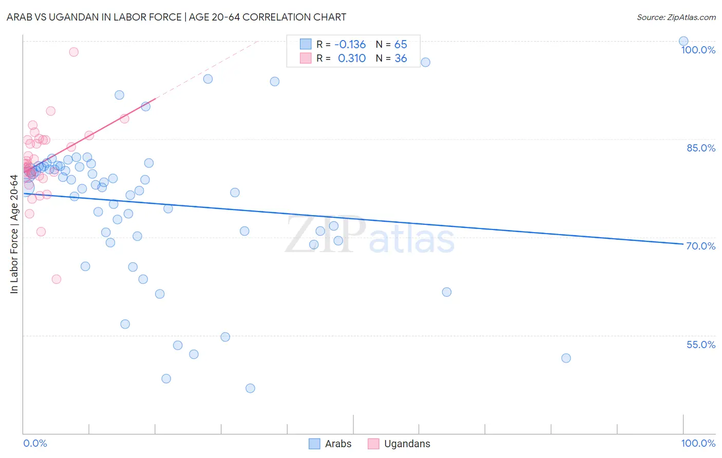 Arab vs Ugandan In Labor Force | Age 20-64