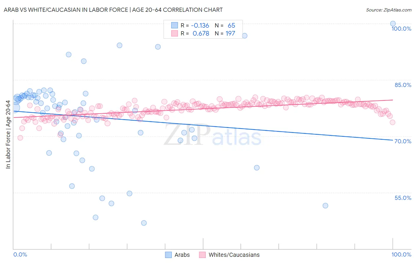 Arab vs White/Caucasian In Labor Force | Age 20-64