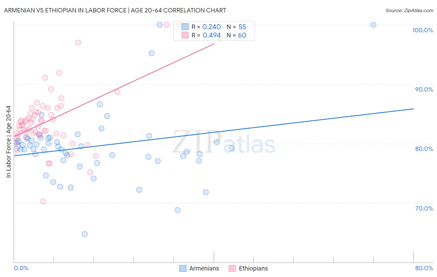Armenian vs Ethiopian In Labor Force | Age 20-64