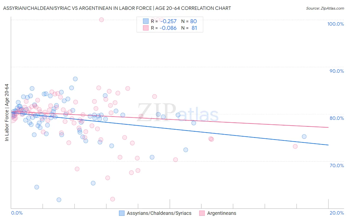 Assyrian/Chaldean/Syriac vs Argentinean In Labor Force | Age 20-64