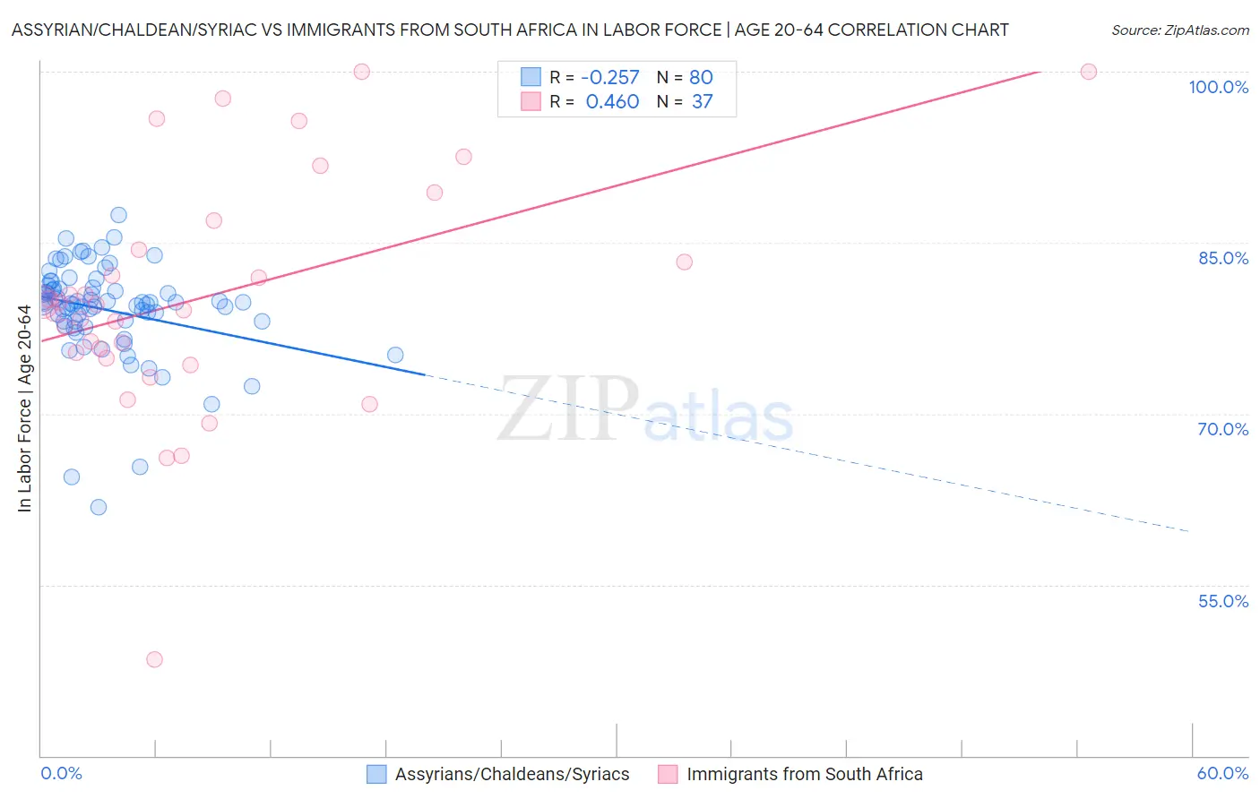 Assyrian/Chaldean/Syriac vs Immigrants from South Africa In Labor Force | Age 20-64