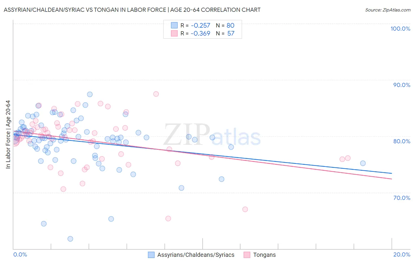 Assyrian/Chaldean/Syriac vs Tongan In Labor Force | Age 20-64