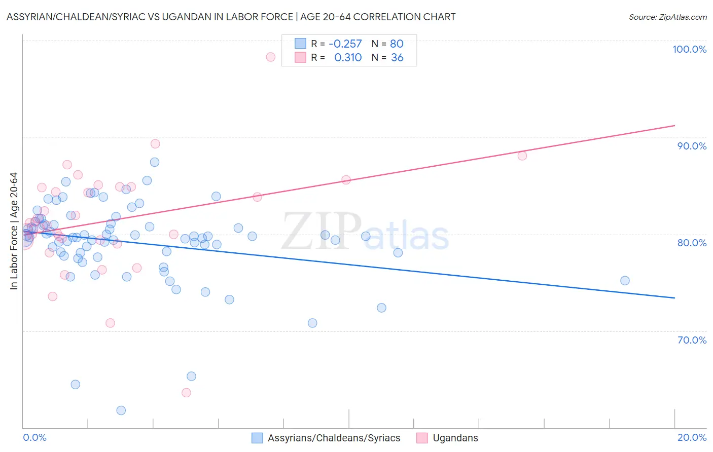 Assyrian/Chaldean/Syriac vs Ugandan In Labor Force | Age 20-64