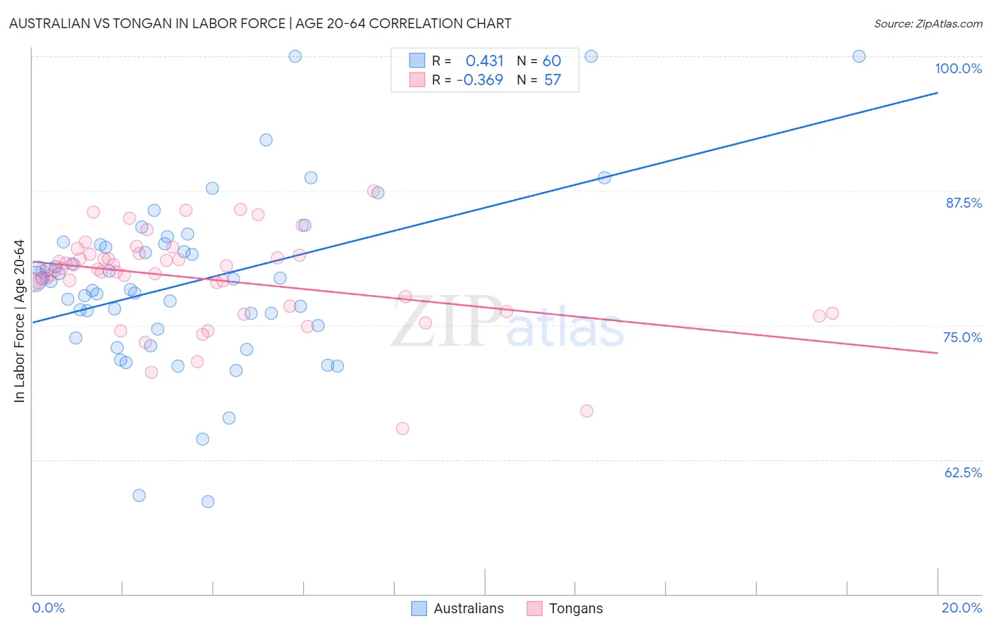 Australian vs Tongan In Labor Force | Age 20-64