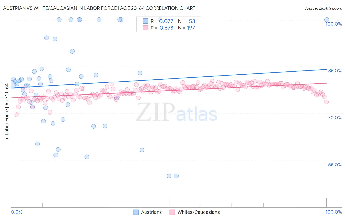 Austrian vs White/Caucasian In Labor Force | Age 20-64