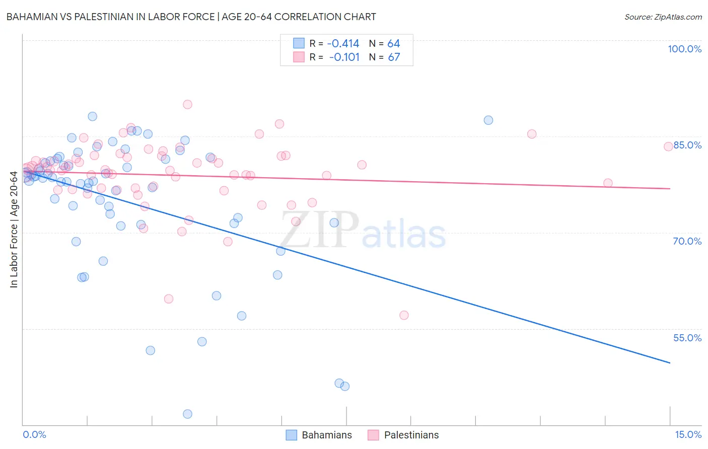 Bahamian vs Palestinian In Labor Force | Age 20-64